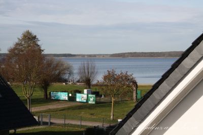 d2_img_1134