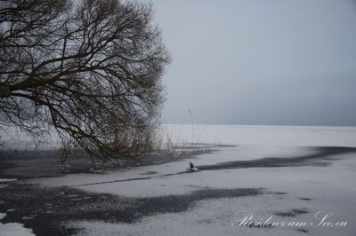 l1_201406_30
